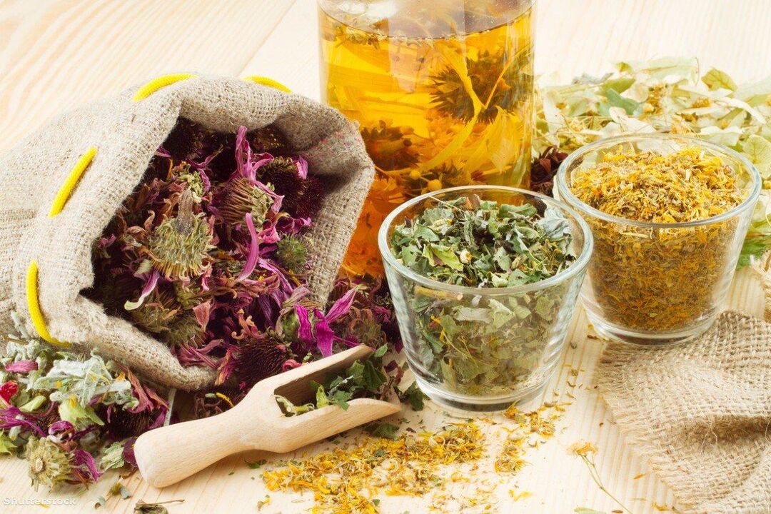 Herbas medicinais para a terapia popular da psoríase nos cóbados