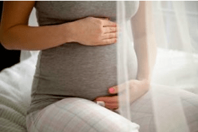 Características da nutrición durante o embarazo
